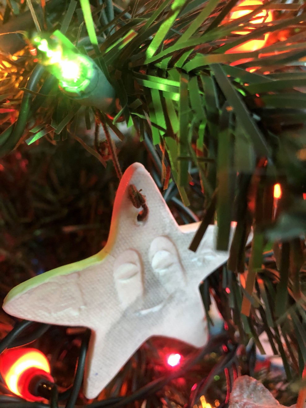 A star ornament hangs from a Christmas tree